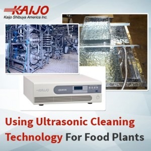 Using Ultrasonic Cleaning Technology for Food Plants